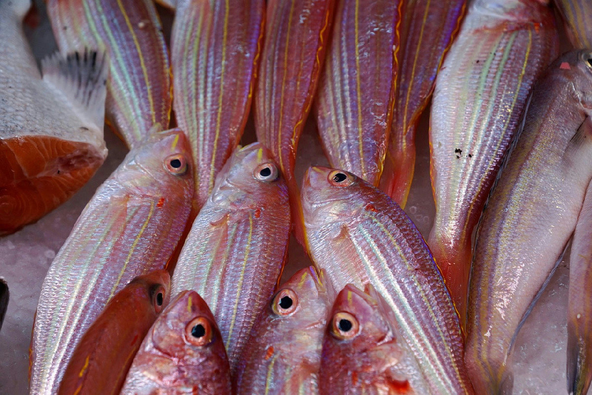 La mente sotto stress: integratori e rimedi per sostenere il benessere naturale nel tempo