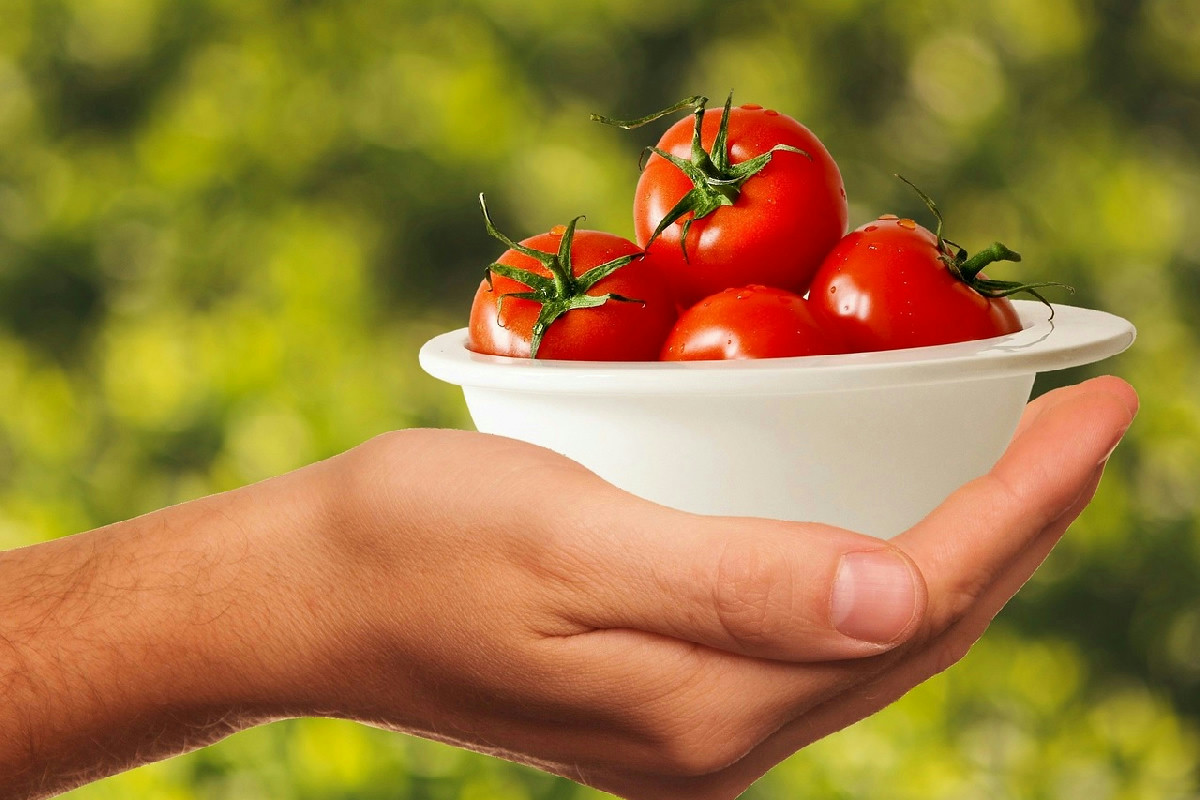Pomodori: 10 curiosità sorprendenti per cambiare la prospettiva in cucina e in giardino