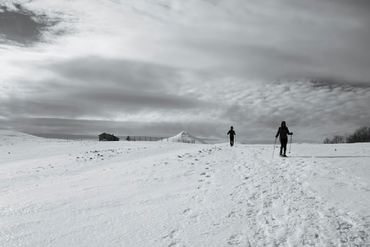 Tre percorsi innevati nelle Dolomiti Venete: boschi silenziosi, cime imponenti e panorami da fiaba