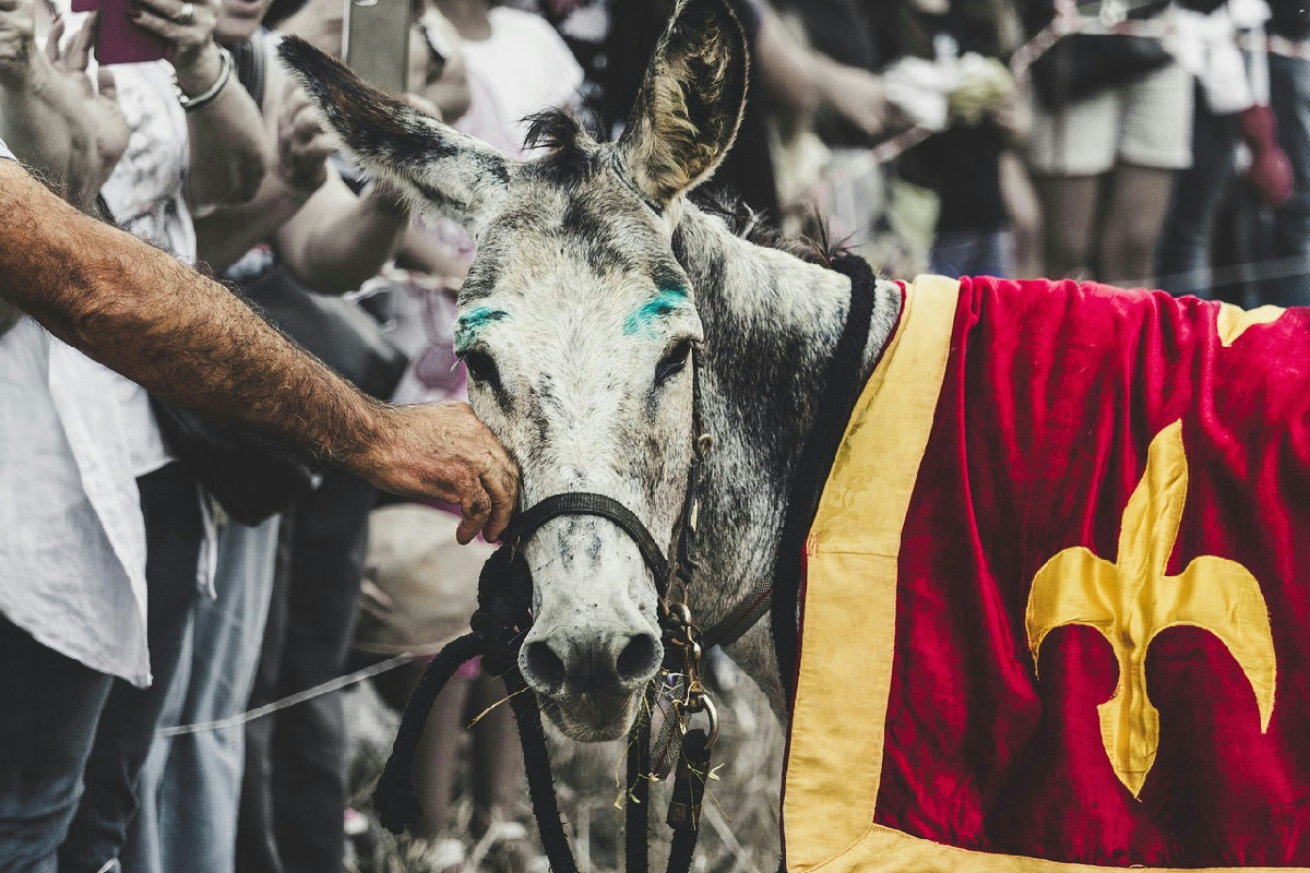Urbania si anima a gennaio con la Festa della Befana: danze, folklore e tradizioni uniche nel centro storico